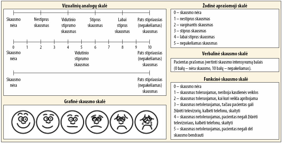 slausmo skale